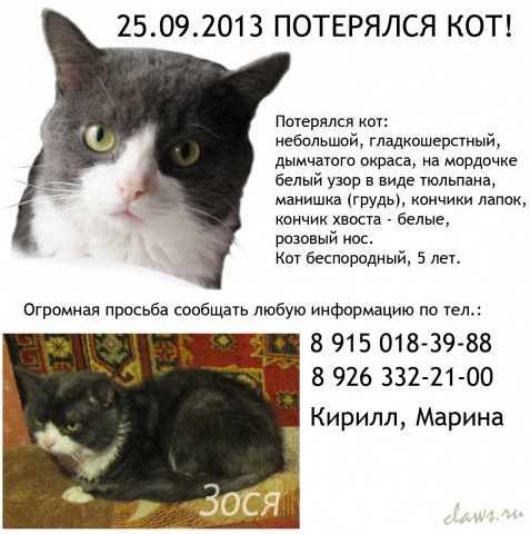 Фото не найдено