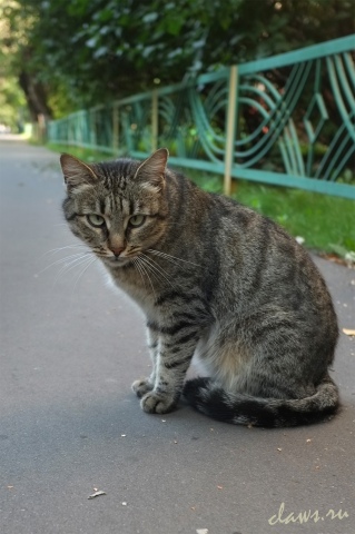Фото не найдено