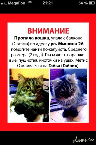 Фото не найдено