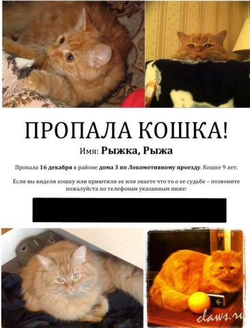Фото не найдено