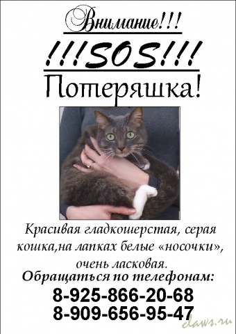 Фото не найдено