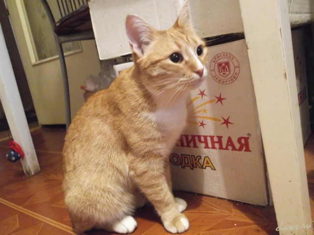 Фото не найдено