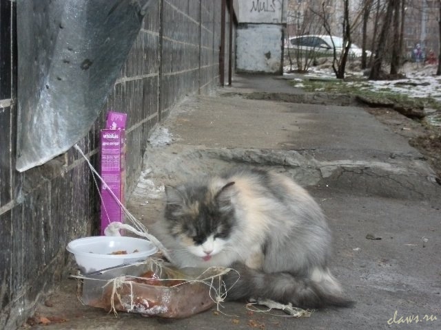 Фото не найдено