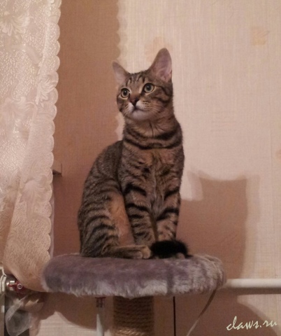 Фото не найдено