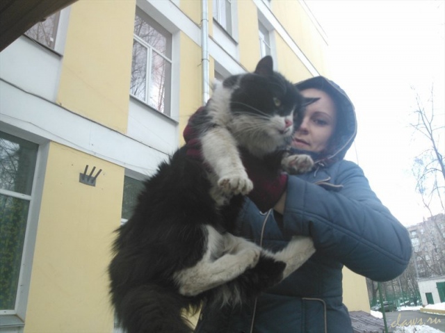Фото не найдено