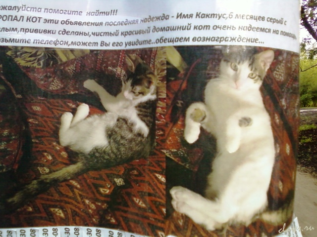 Фото не найдено