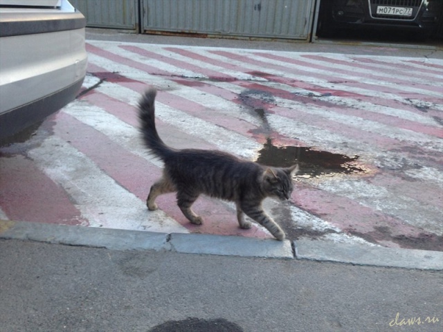 Фото не найдено