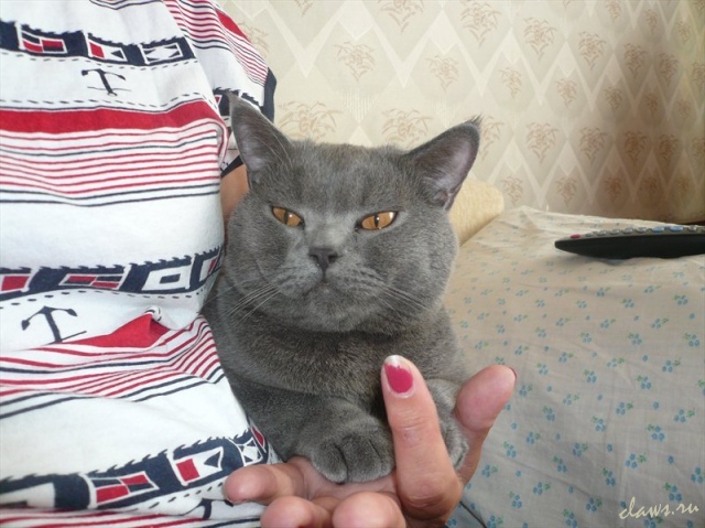 Фото не найдено