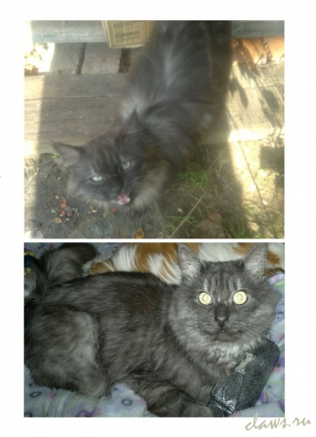 Фото не найдено