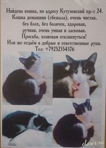 Фото не найдено