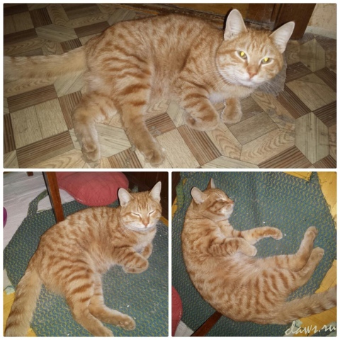 Фото не найдено