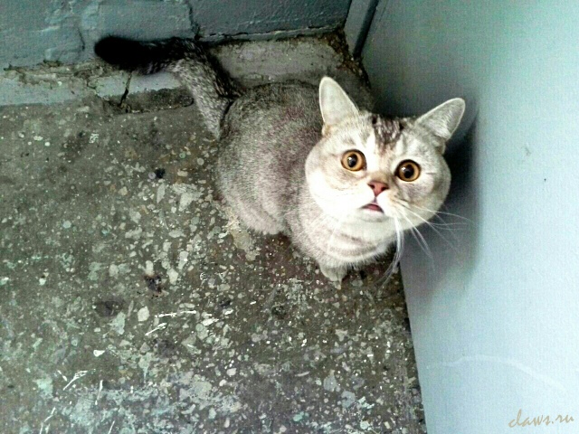Фото не найдено