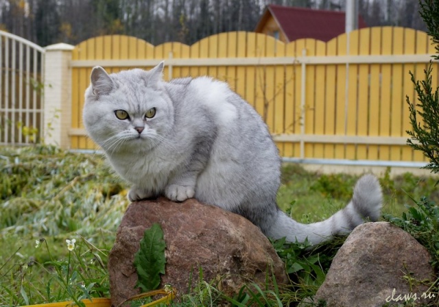 Фото не найдено