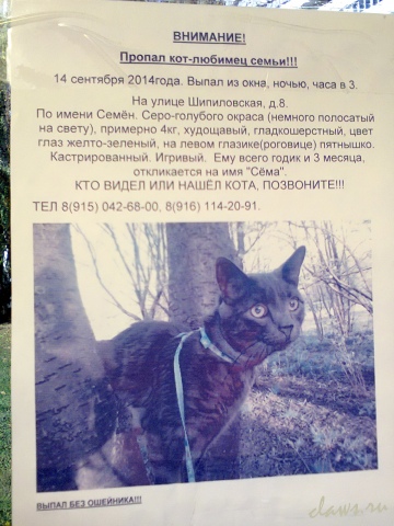 Фото не найдено