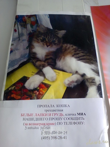 Фото не найдено