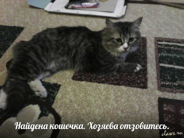 Фото не найдено