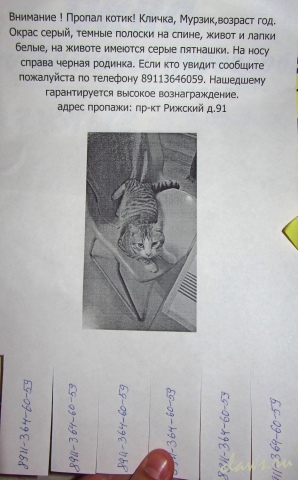 Фото не найдено