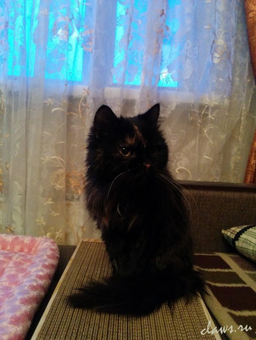 Фото не найдено