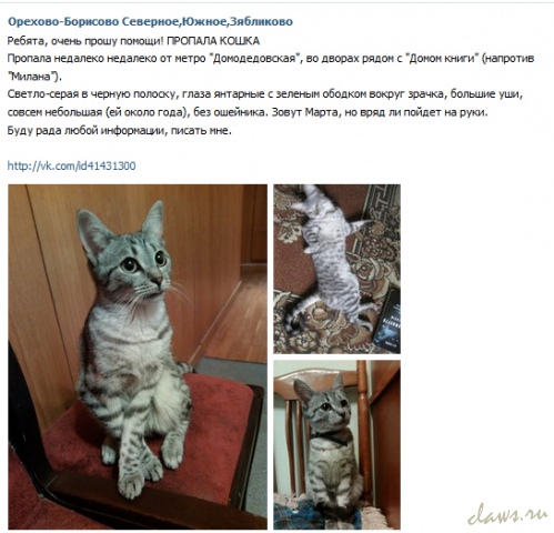 Фото не найдено