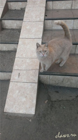 Фото не найдено