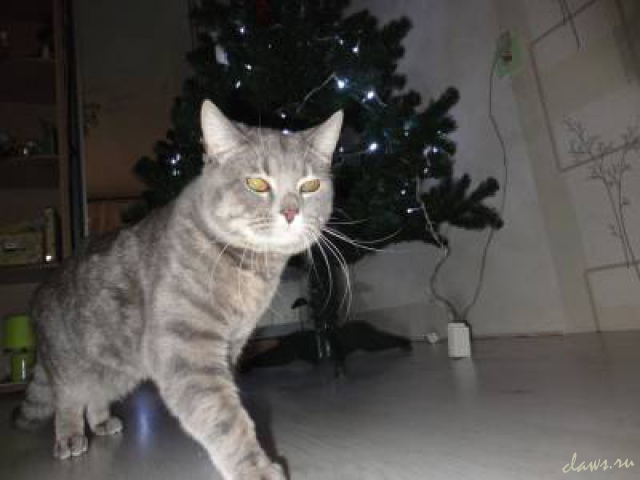 Фото не найдено