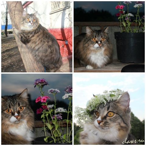 Фото не найдено