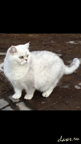 Фото не найдено