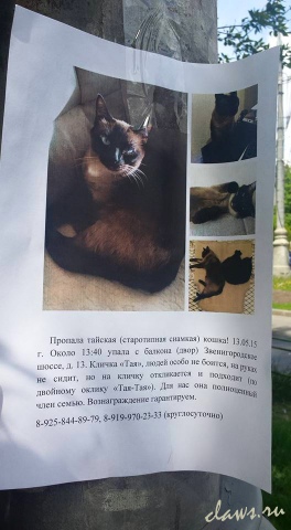 Фото не найдено