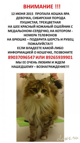 Фото не найдено