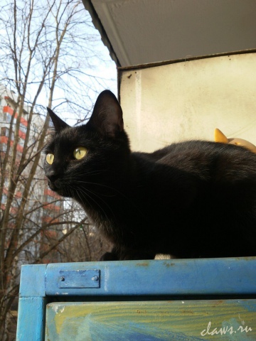 Фото не найдено
