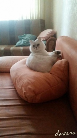 Фото не найдено