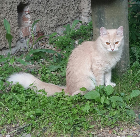 Фото не найдено