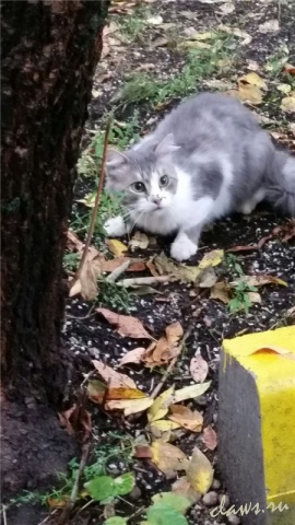 Фото не найдено