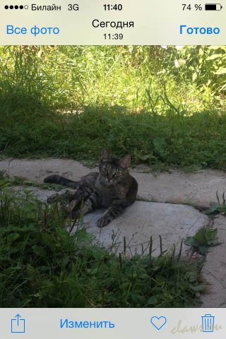 Фото не найдено