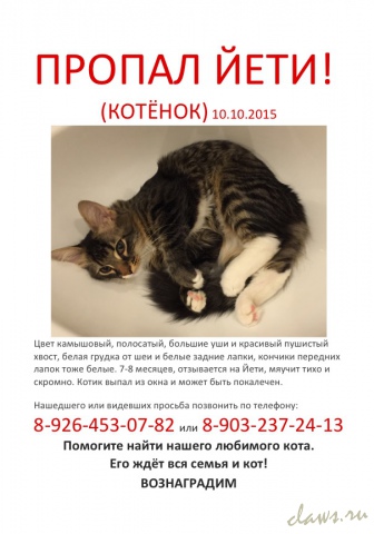 Фото не найдено