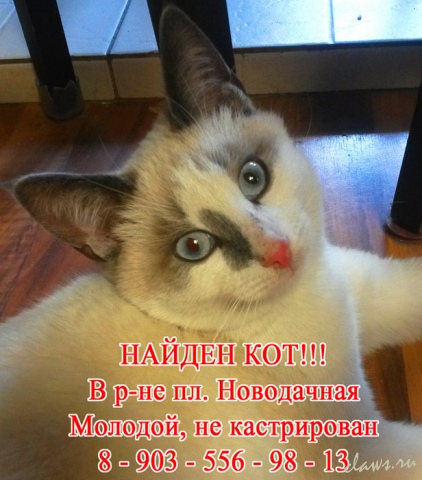 Фото не найдено