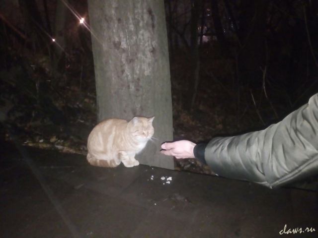 Фото не найдено