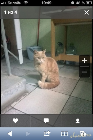 Фото не найдено
