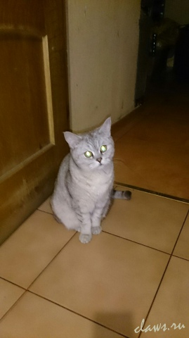 Фото не найдено