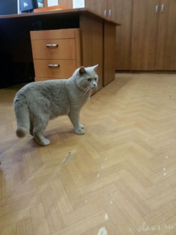 Фото не найдено