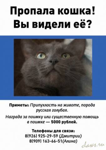 Фото не найдено