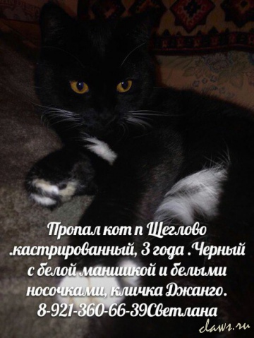 Фото не найдено
