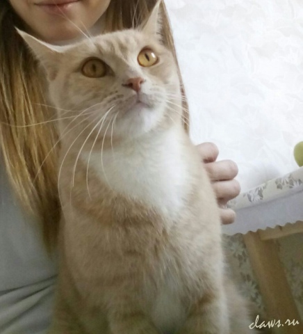 Фото не найдено