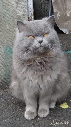 Фото не найдено