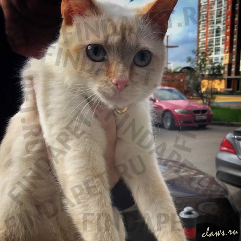 Фото не найдено