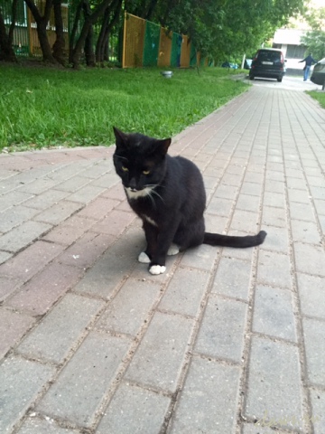 Фото не найдено