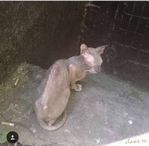 Фото не найдено