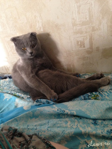 Фото не найдено