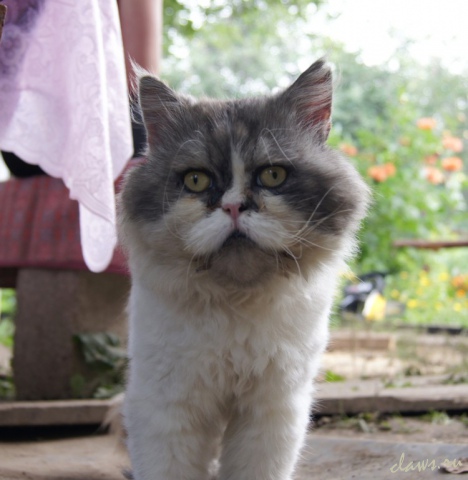 Фото не найдено