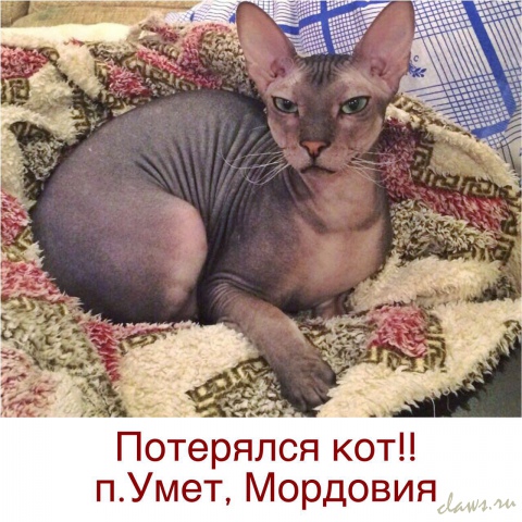 Фото не найдено